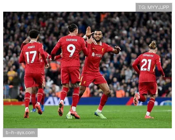 布莱顿主场迎战利物浦，状态回升力争英超关键三分