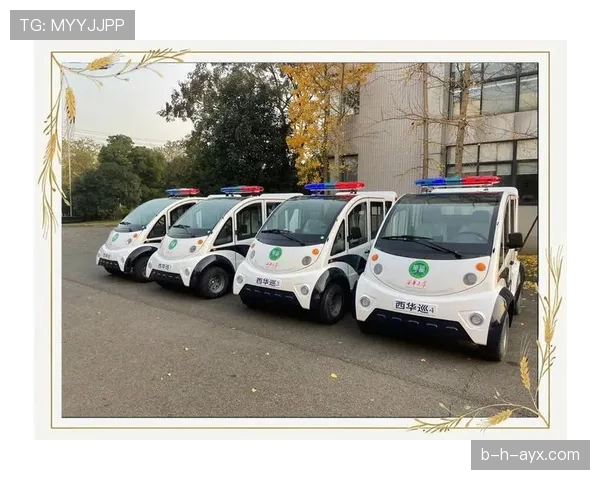 瑞安门线技术赋能智能交通，引领城市出行效率新提升