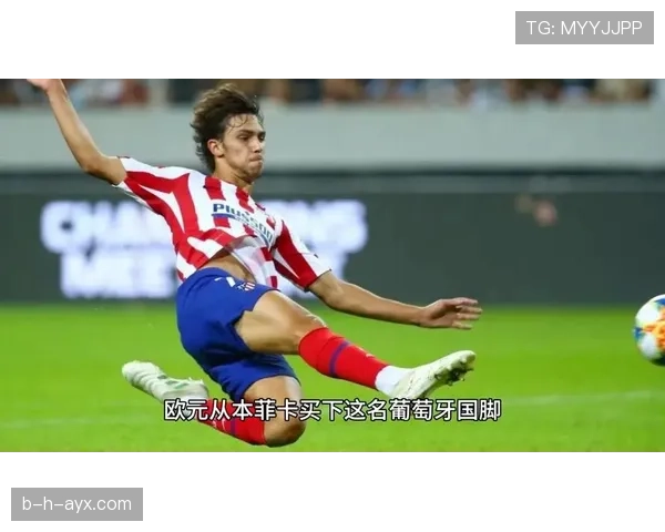 葡萄牙国家队核心竞争者:菲利克斯的国家队地位 葡萄牙国家队核心竞争者:菲利克斯的国家队地位